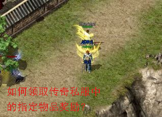 如何领取传奇私服中的指定物品奖励? 如何领取传奇私服中的指定物品奖励?