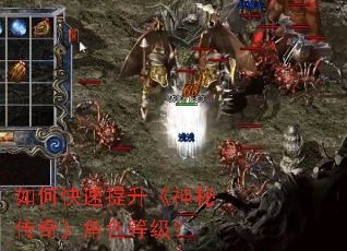 如何快速提升《神秘传奇》角色等级? 如何快速提升《神秘传奇》角色等级?