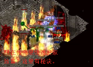 想在传奇里快速发家致富?这里有秘诀。 想在传奇里快速发家致富?这里有秘诀。