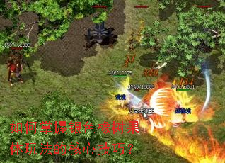 如何掌握银色橡树果体玩法的核心技巧? 如何掌握银色橡树果体玩法的核心技巧?