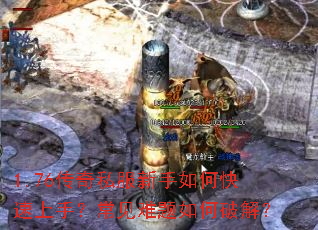1.76����˽��������ο������֣�������������ƽ⣿