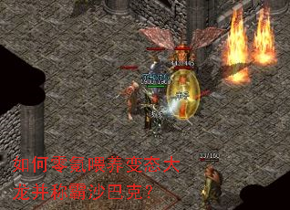 ������ι����̬�������ư�ɳ�Ϳˣ�