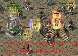 传奇私服新手如何快速进阶?从菜鸟到沙城霸主需要掌握哪些技巧? 传奇私服新手如何快速进阶?从菜鸟到沙城霸主需要掌握哪些技巧?