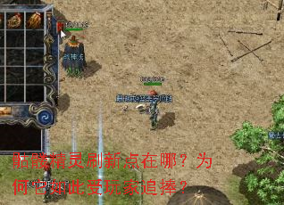 骷髅精灵刷新点在哪?为何它如此受玩家追捧? 骷髅精灵刷新点在哪?为何它如此受玩家追捧?