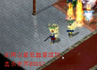 ��������Ѫ���ɹ���ɱ����BOSS��