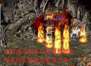 ��γ�Ϊ������������Ѫ���浥��˽�������ǿ��ң�