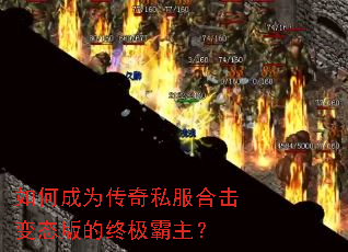 ��γ�Ϊ����˽���ϻ���̬����ռ�������