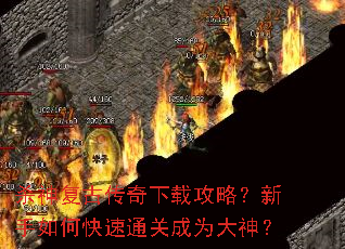 ɱ�񸴹Ŵ������ع��ԣ�������ο���ͨ�س�Ϊ����