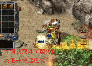 ��λ�ȡ����洫����ë�����ٽ�����