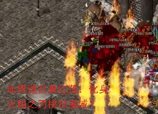 ����������������������֮�к�ɨħ��