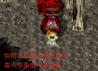 ������귨��½���ȷ�Ѫ����ɱ��һ��Ѫ·��