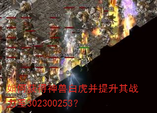 ��λ�����ް׻���������ս����302300253��
