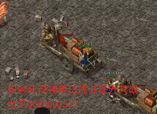��λ�����ް׻���������ս����302300253��