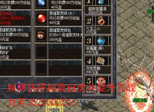 ��λ�����ް׻���������ս����302300253��