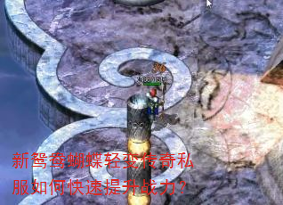 ��ԧ�������䴫��˽����ο�������ս����