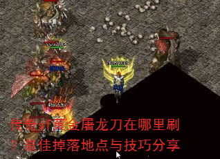 ����sf�ƽ�������������ˢ����ѵ���ص��뼼�ɷ���