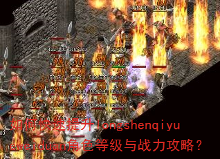 ��ο�������longshenqiyueweiduan��ɫ�ȼ���ս�����ԣ�