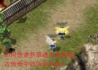 ��ο��ٻ�ȡ�����������Ŵ����еĶ���װ����