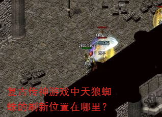 ���Ŵ�����Ϸ������֩���ˢ��λ�������