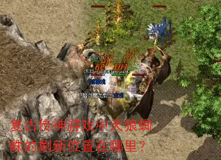 ���Ŵ�����Ϸ������֩���ˢ��λ�������