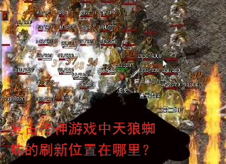���Ŵ�����Ϸ������֩���ˢ��λ�������