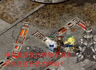 ������临�Ŵ���������ο�������ս���ȼ���
