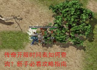 ���濪��ʱ�����β�ѯ�����ֱؿ�����ָ��