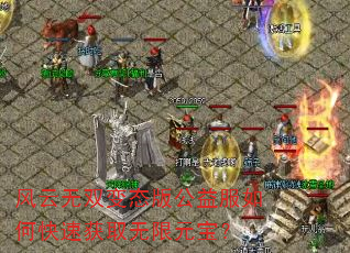 ������˫��̬�湫�����ο��ٻ�ȡ����Ԫ����