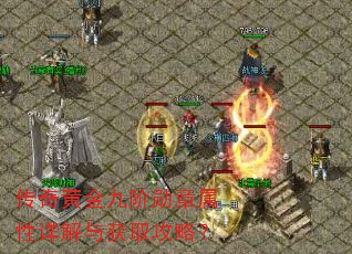 ����ƽ�Ž�ѫ������������ȡ���ԣ�