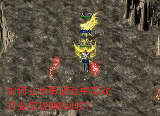 ����ڴ�����Ϸ�и�Ч���ʵ��RMB���գ�