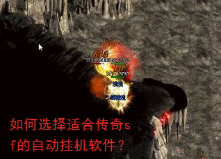���ѡ���ʺϴ���sf���Զ��һ�������