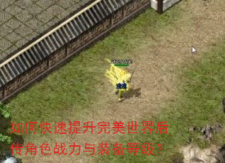 如何快速提升完美世界后传角色战力与装备等级? 如何快速提升完美世界后传角色战力与装备等级?