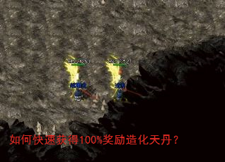 ��ο��ٻ��100%�����컯�쵤��