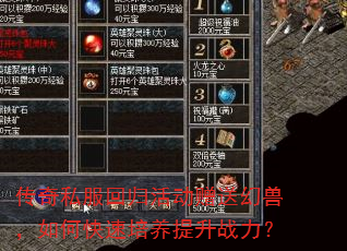 传奇私服回归活动赠送幻兽,如何快速培养提升战力? 传奇私服回归活动赠送幻兽,如何快速培养提升战力?