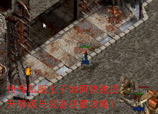 传奇私服王子如何快速提升等级与装备获取攻略? 传奇私服王子如何快速提升等级与装备获取攻略?