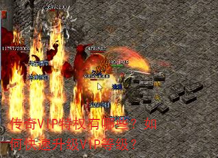 传奇VIP特权有哪些?如何快速升级VIP等级? 传奇VIP特权有哪些?如何快速升级VIP等级?