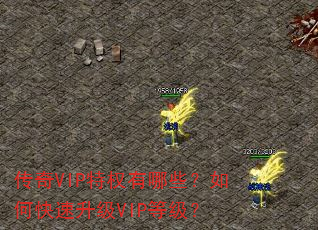 传奇VIP特权有哪些?如何快速升级VIP等级? 传奇VIP特权有哪些?如何快速升级VIP等级?