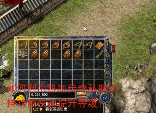如何利用热血传奇私服内挂功能快速提升等级? 如何利用热血传奇私服内挂功能快速提升等级?