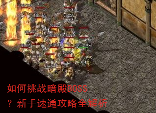 如何挑战暗殿BOSS?新手速通攻略全解析 如何挑战暗殿BOSS?新手速通攻略全解析