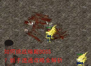 如何挑战暗殿BOSS?新手速通攻略全解析 如何挑战暗殿BOSS?新手速通攻略全解析