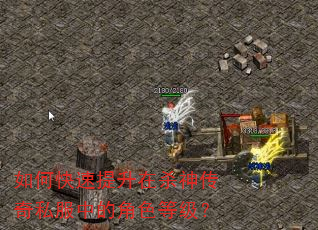 如何快速提升在杀神传奇私服中的角色等级? 如何快速提升在杀神传奇私服中的角色等级?