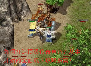 如何打造顶级传奇角色?从零开始的全面成长攻略指南? 如何打造顶级传奇角色?从零开始的全面成长攻略指南?