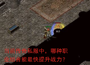 当前传奇私服中,哪种职业组合能最快提升战力? 当前传奇私服中,哪种职业组合能最快提升战力?