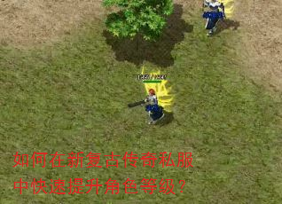 如何在新复古传奇私服中快速提升角色等级? 如何在新复古传奇私服中快速提升角色等级?