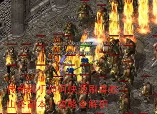 传奇新手如何快速刷毒蛇山谷副本?攻略全解析 传奇新手如何快速刷毒蛇山谷副本?攻略全解析