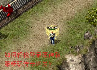 ������ɵ�¼ԭ��˽�����洫�����磿