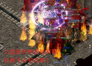 公益服传奇游戏有哪些新手必知攻略? 公益服传奇游戏有哪些新手必知攻略?