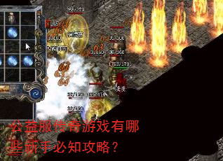 公益服传奇游戏有哪些新手必知攻略? 公益服传奇游戏有哪些新手必知攻略?