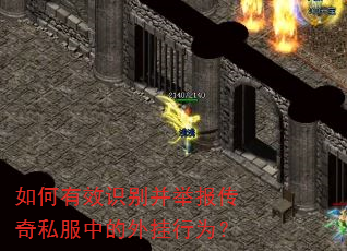 �����Чʶ�𲢾ٱ�����˽���е������Ϊ��