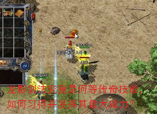 龙影剑法究竟是何等传奇技能,如何习得并发挥其最大威力? 龙影剑法究竟是何等传奇技能,如何习得并发挥其最大威力?